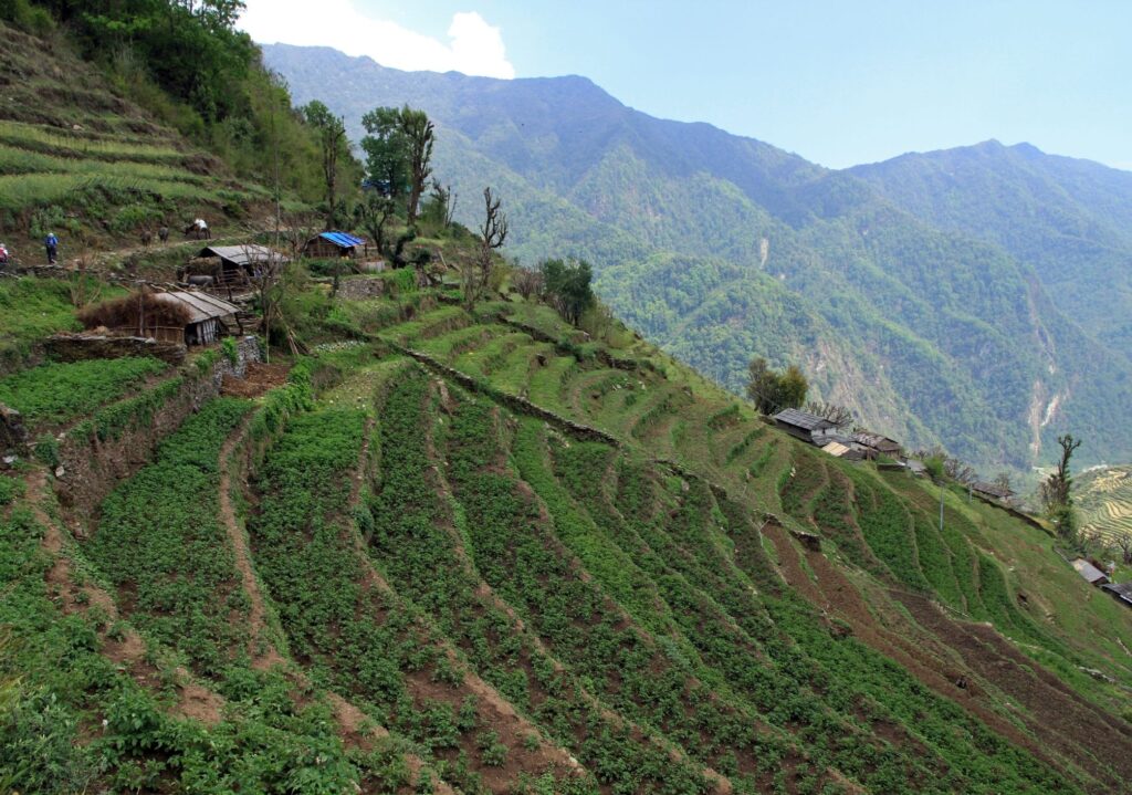 Chhomrong Annapurna trek Nepal By Mountain People