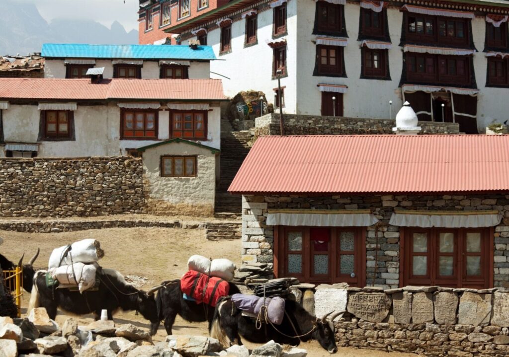 Namche Bazaar traffic Nepal – By Mountain People